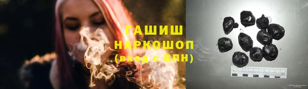 2c-b Горно-Алтайск