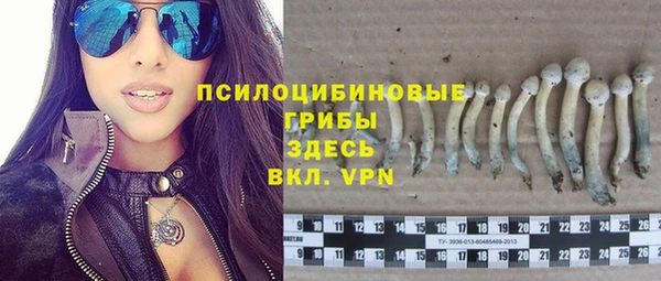 2c-b Горняк