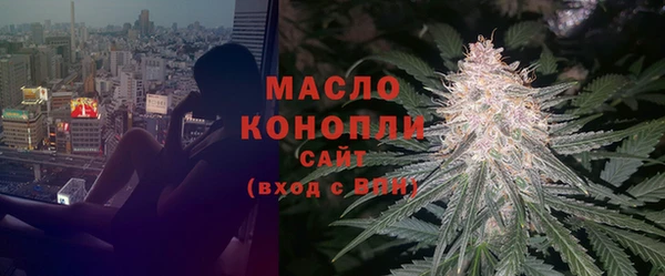 2c-b Горняк