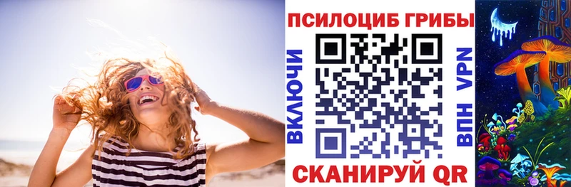 цены   Пятигорск  Псилоцибиновые грибы Psilocybe 